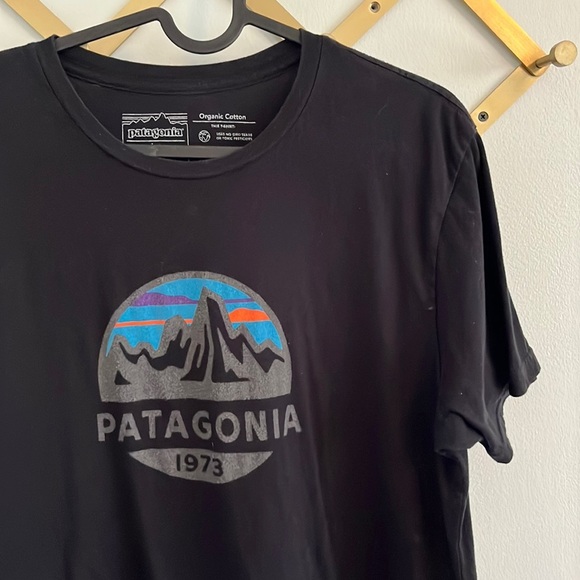 Patagonia Tops - Patagonia Organic Cotton Tshirt